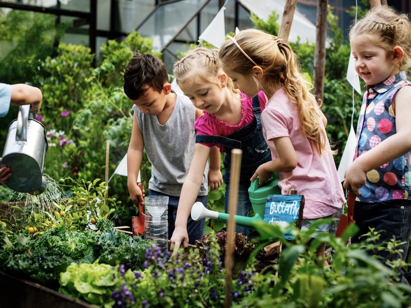 Floristik, 19.08.2024 (AUSGEBUCHT - WARTELISTE)